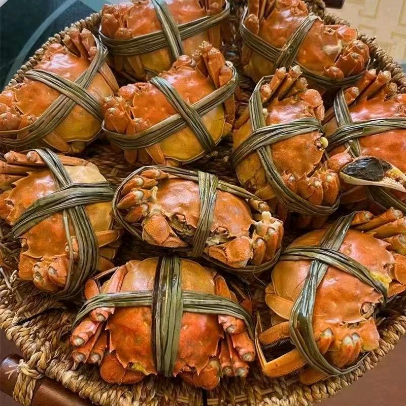 红膏大闸蟹批发零售