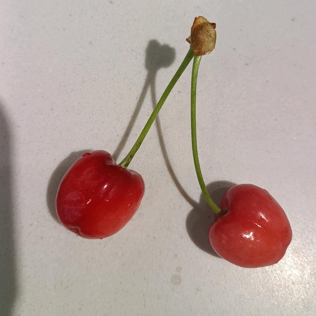 এ余生᭄💞ღ勿扰