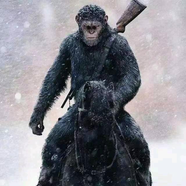 周  3个水
