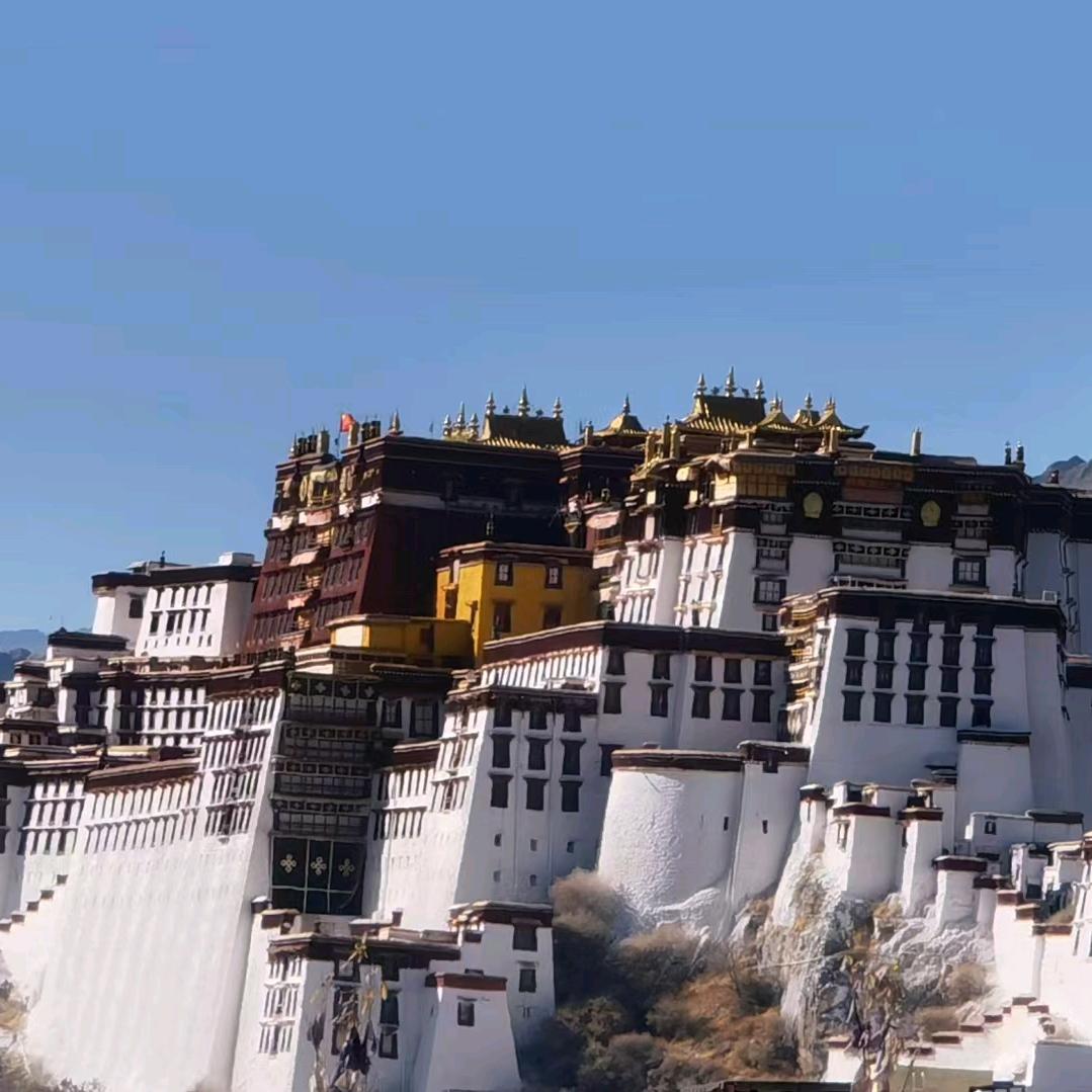 我自去看山