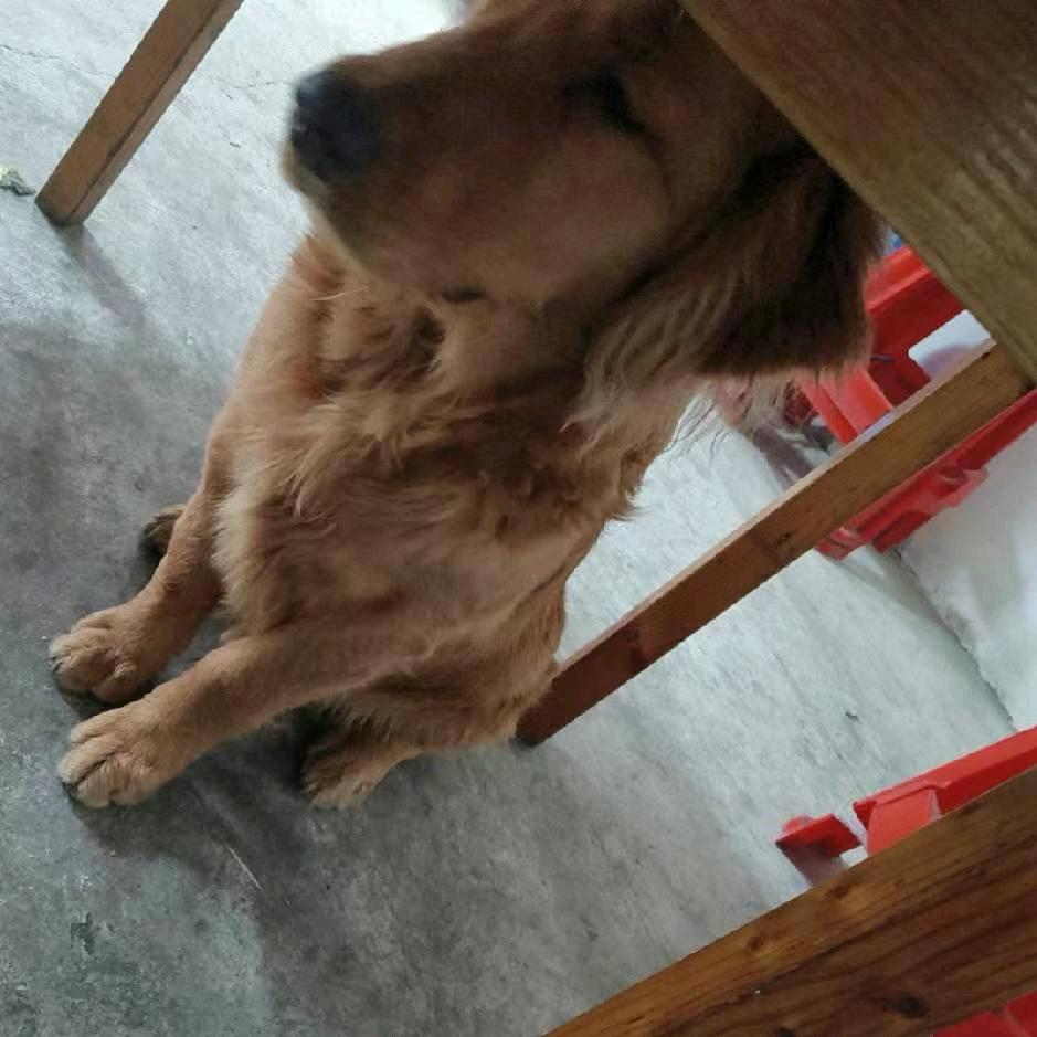可有可无
