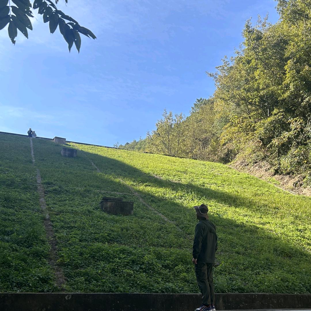 一个小苹果头像