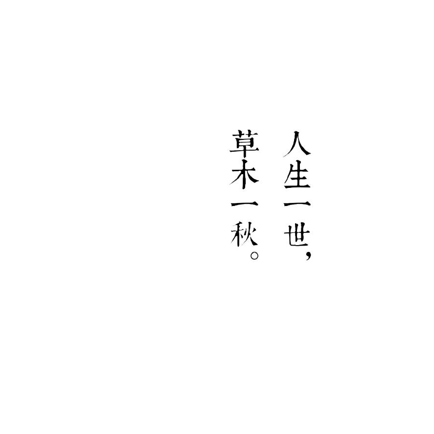 我是木子啊