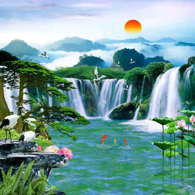断翅的雄鹰