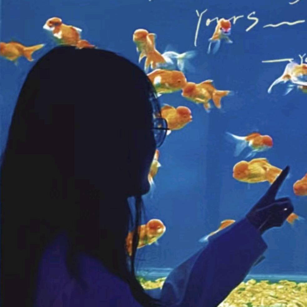 什么是什么！？