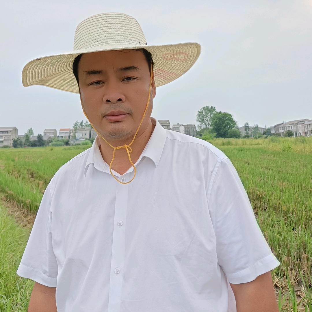 郑家村孙书记