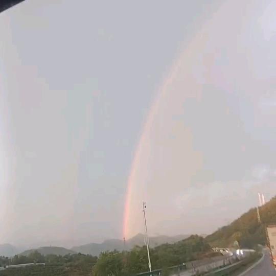 你是我一生的赌注