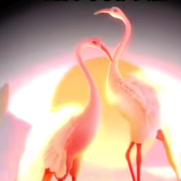 💥乆💥乆💥