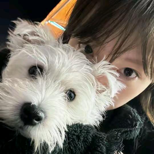 去睡觉