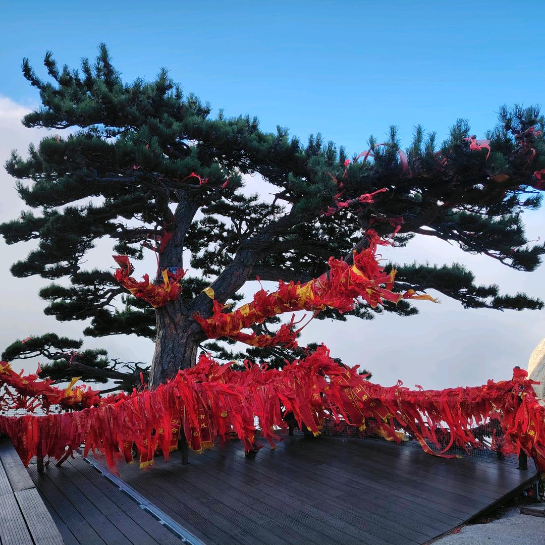 华北阿亮百货优品