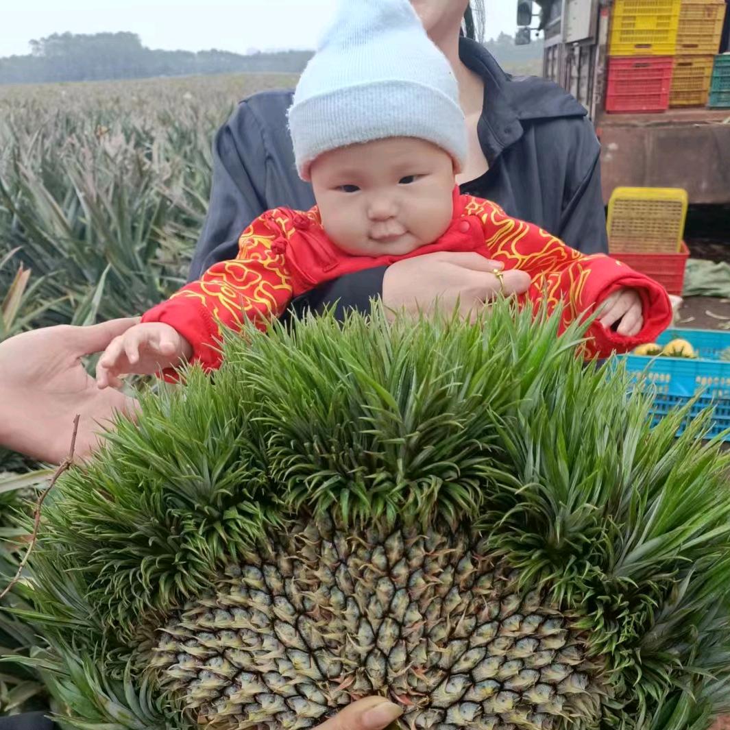 我的小神兽