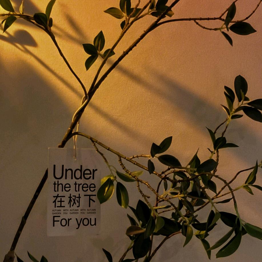 无语的阿朱
