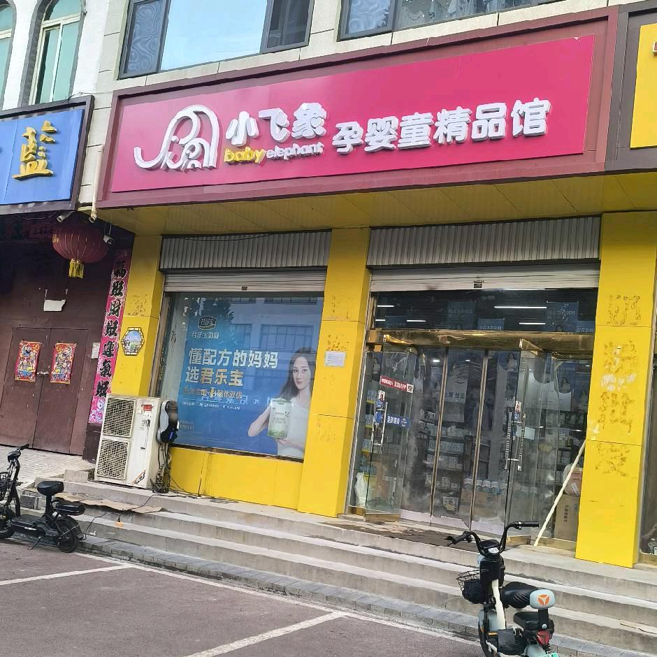 小飞象母婴连锁临漳汽车站店
