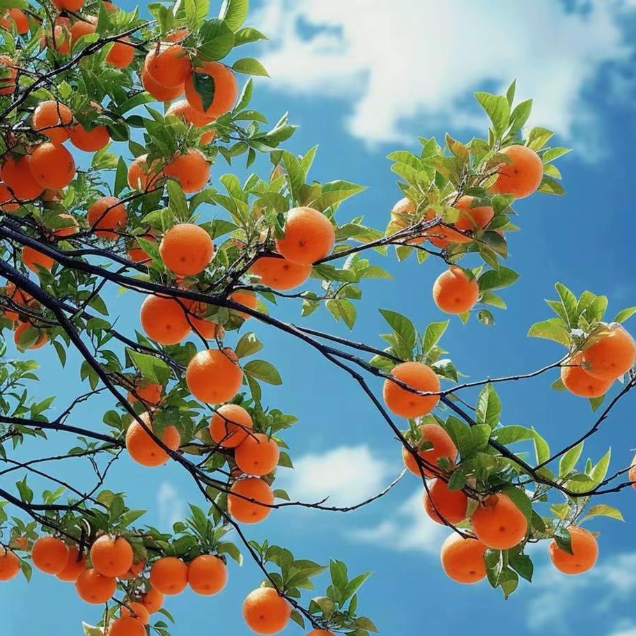 💞᭄ཽ࿆多财 多亿꧔ꦿ᭄❀