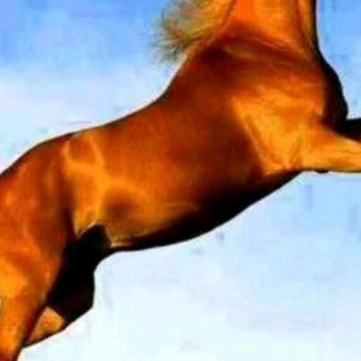 一马平川看破红尘