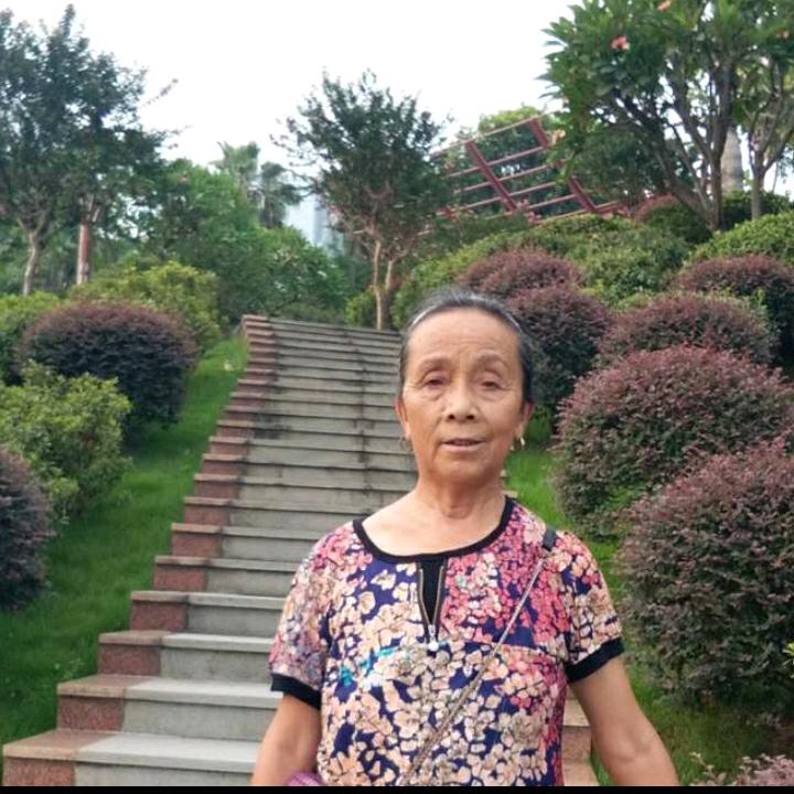 阳光苗家阿婆