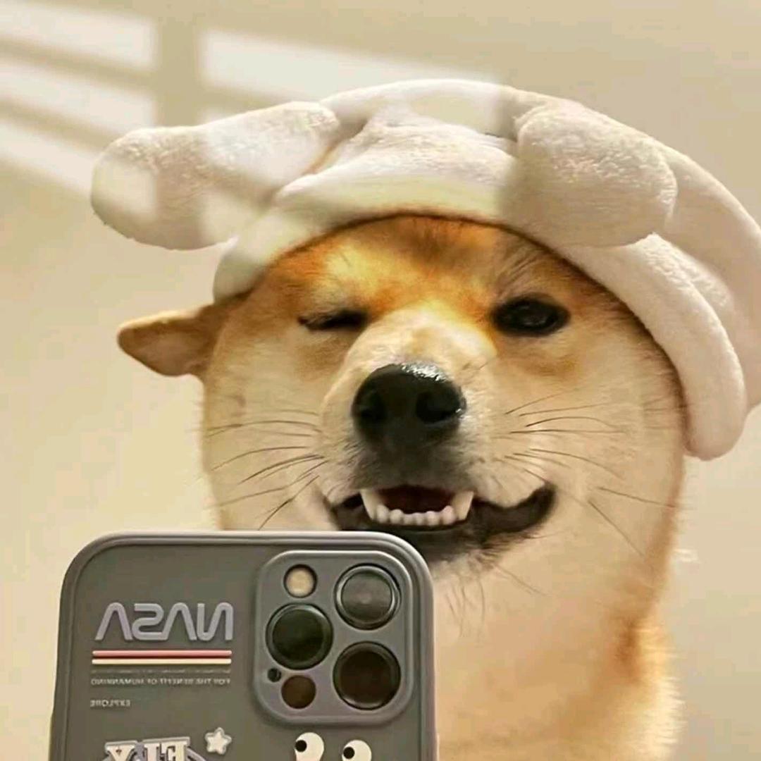 20590889274