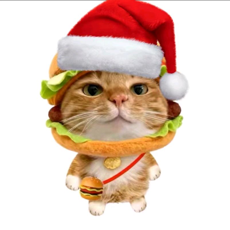 hamburger🍔