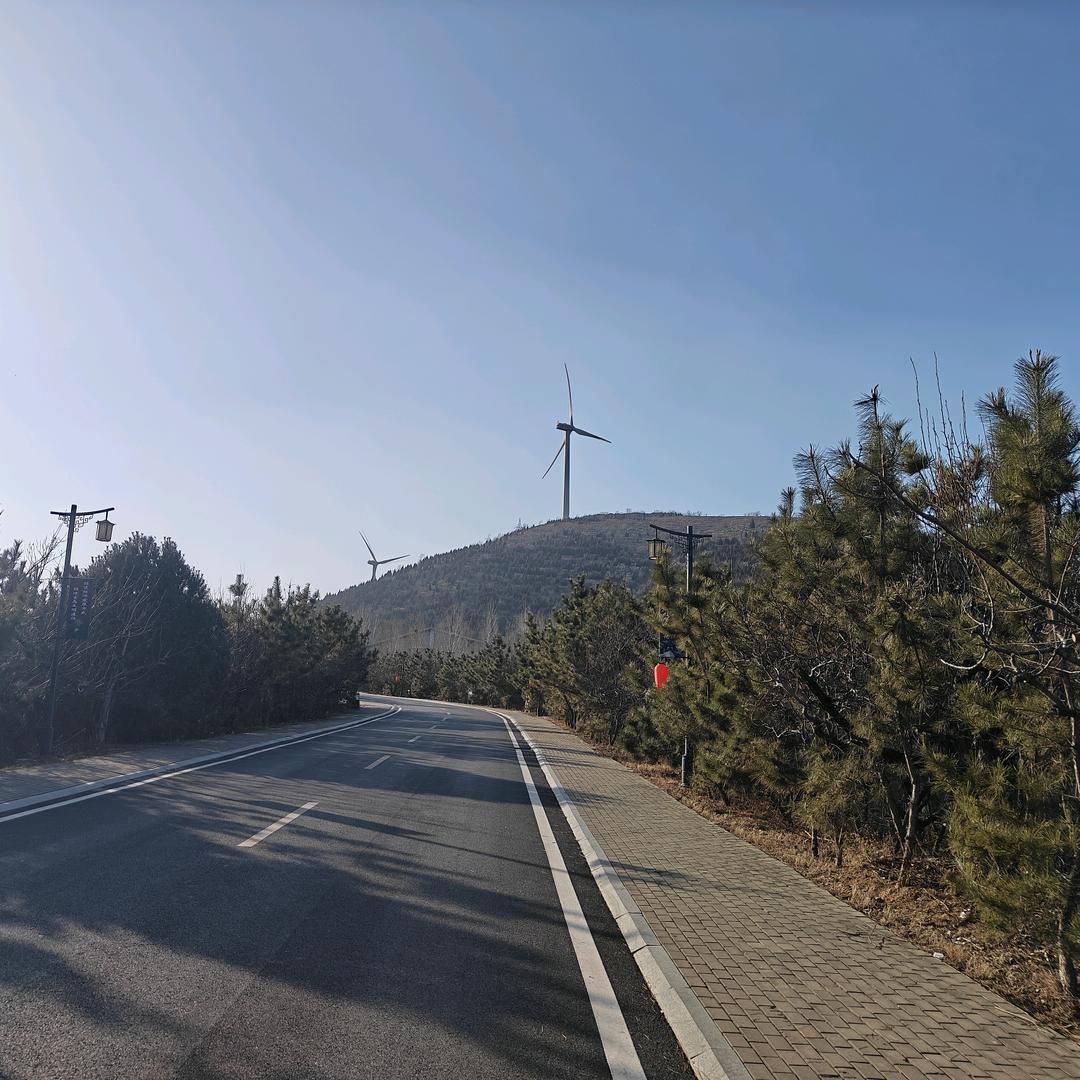 给我一只蓝黑笔