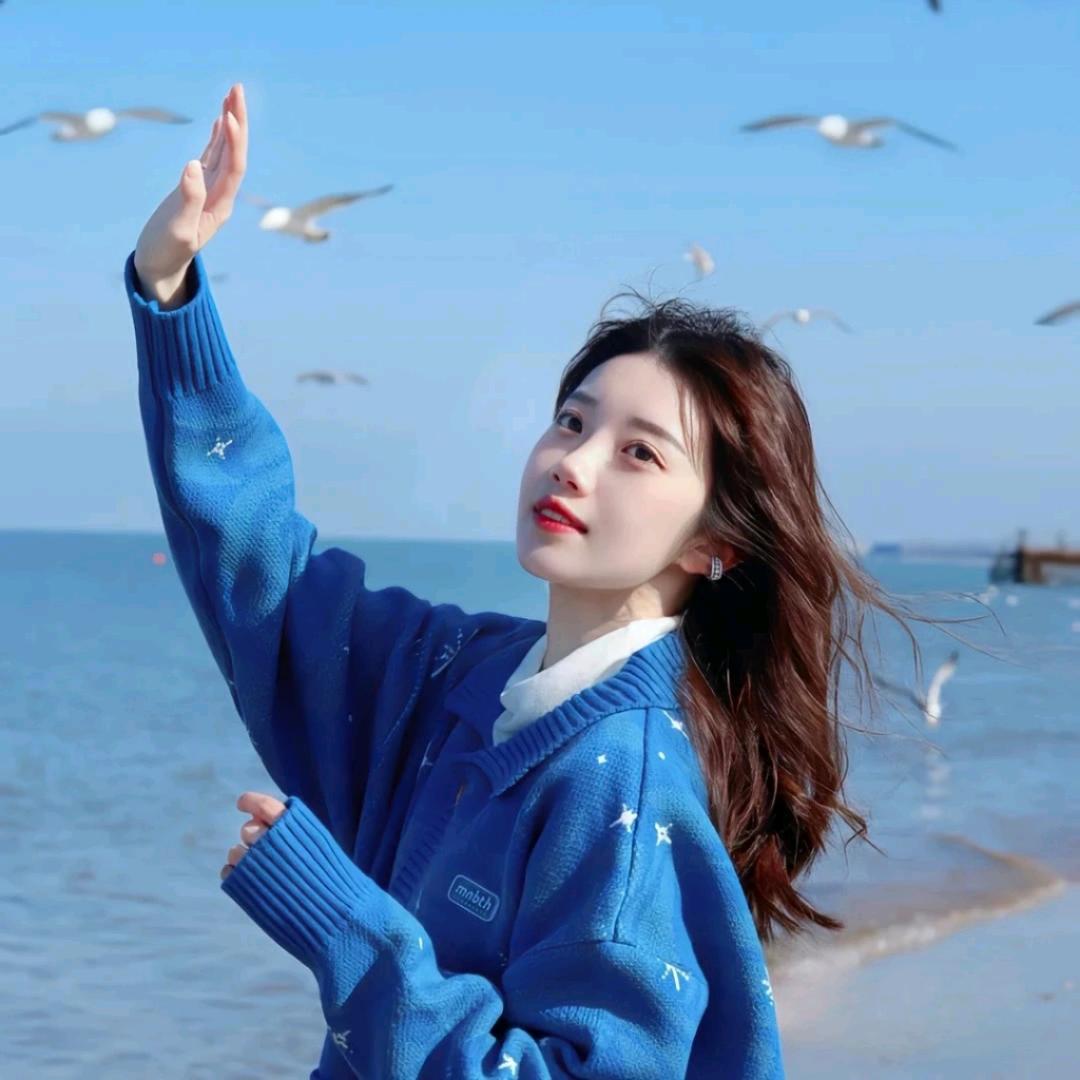 小菜鸟