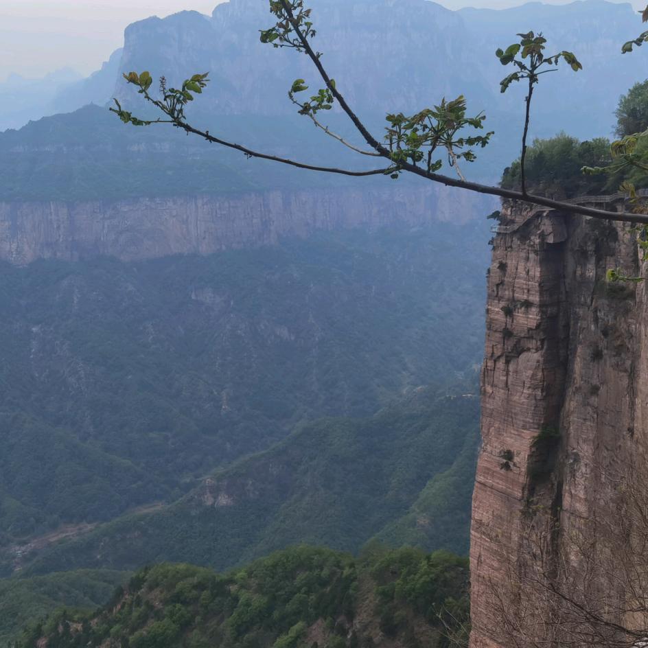 𝑔ོ𝓊ོ𝒶ོ𝒾ོ栳ོ頭ོ