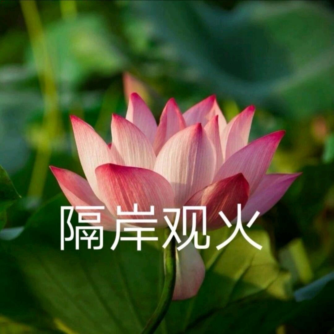 闻卿大王