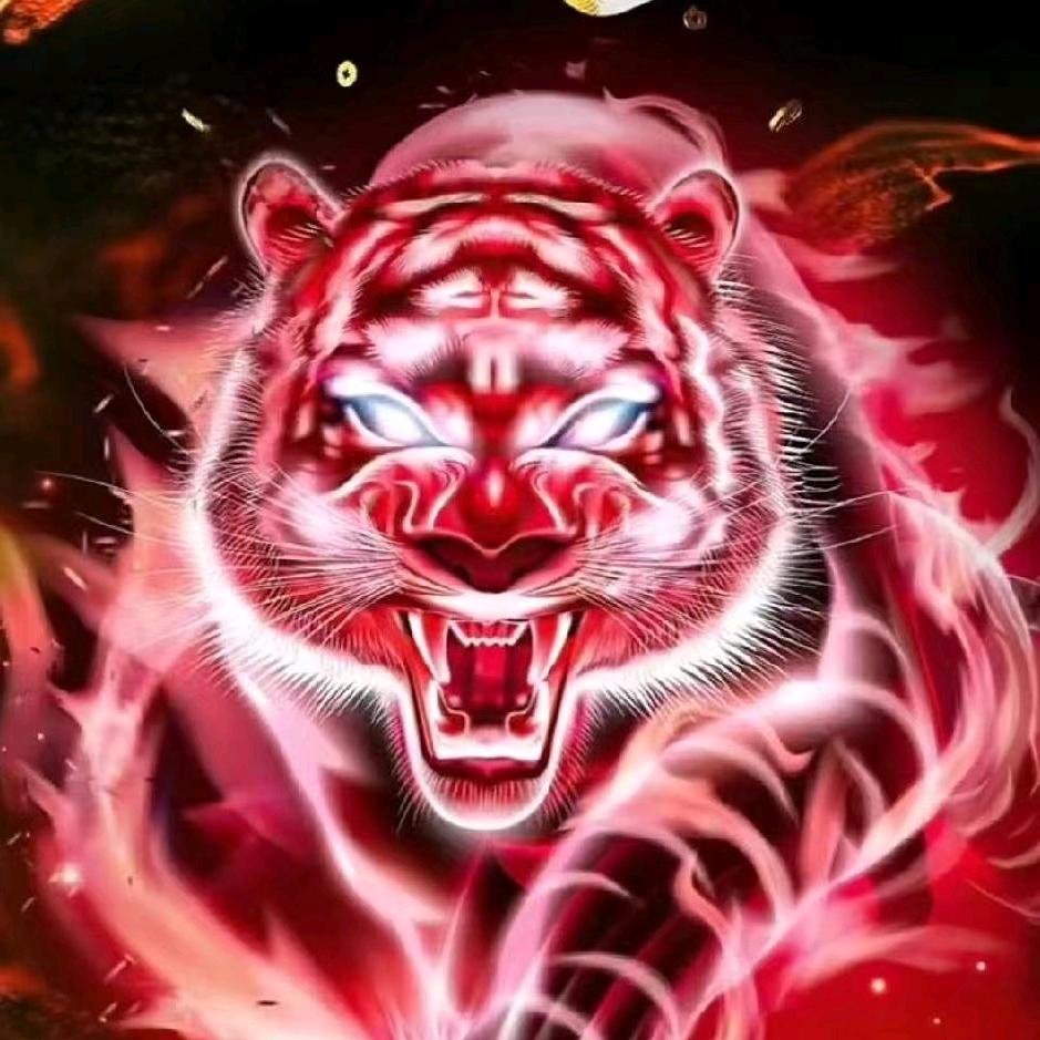 又过了一天