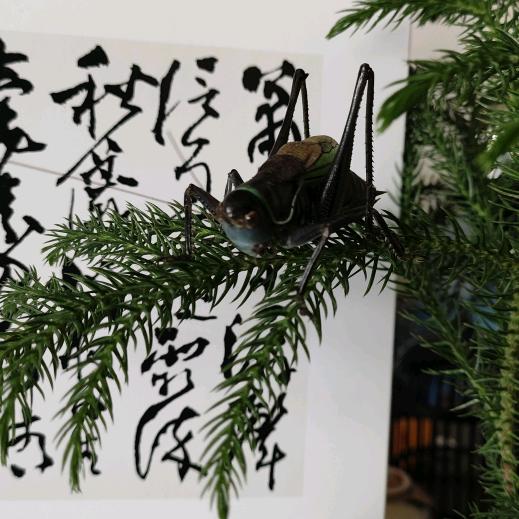 仙女湖那边的老刘头