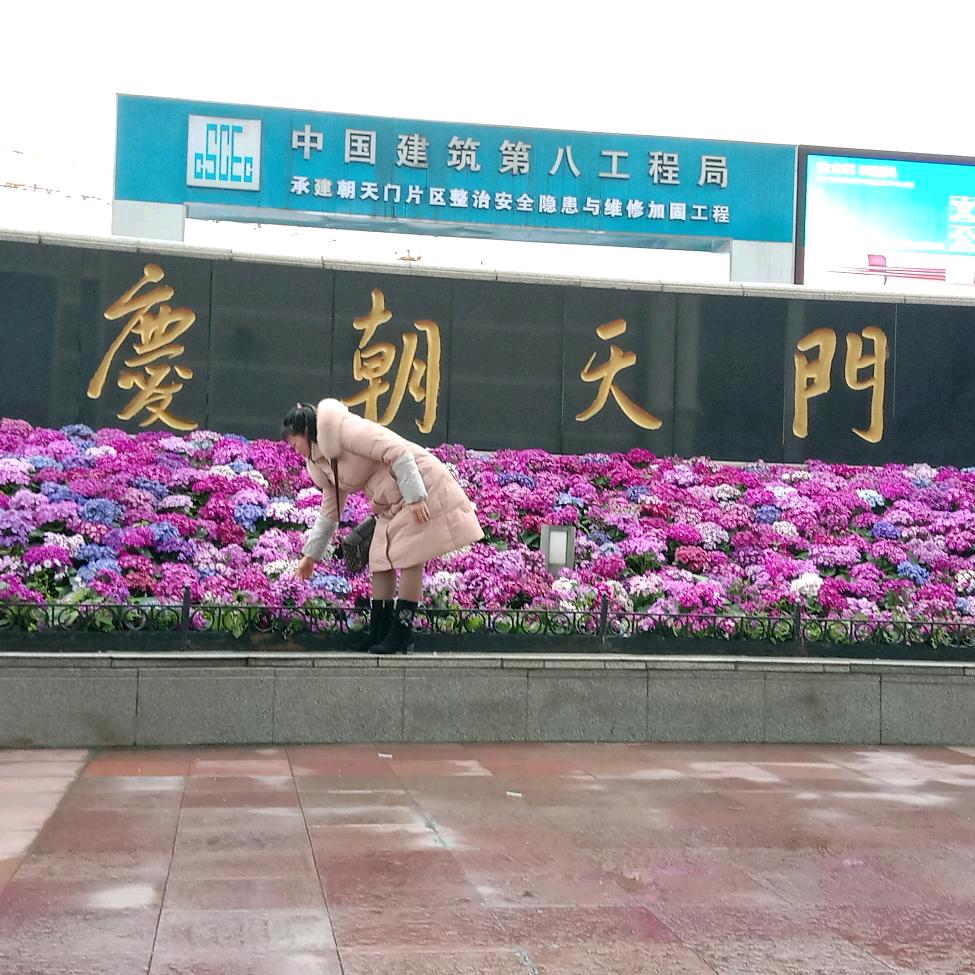 人生如梦