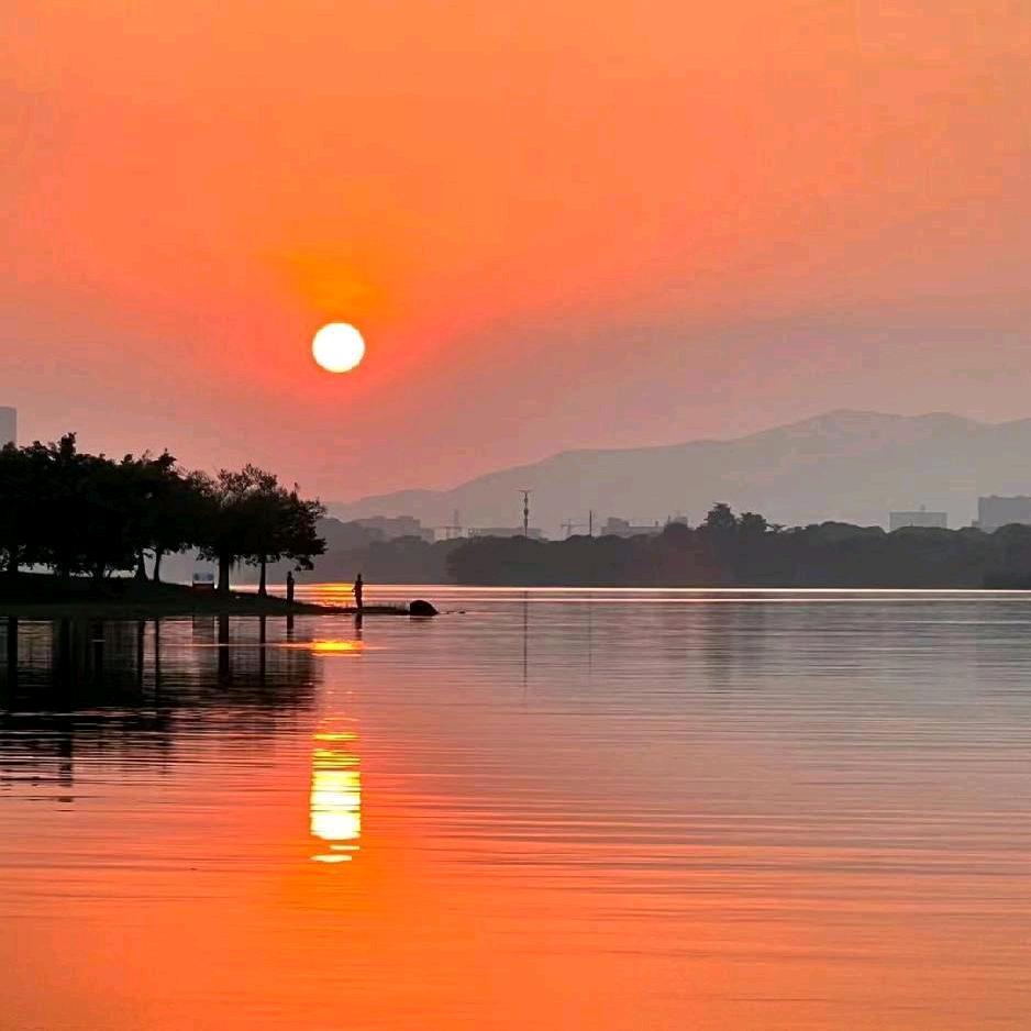 爱情码头（九妹）爱你一万年