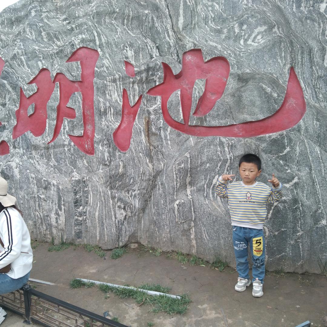 打不死的小強