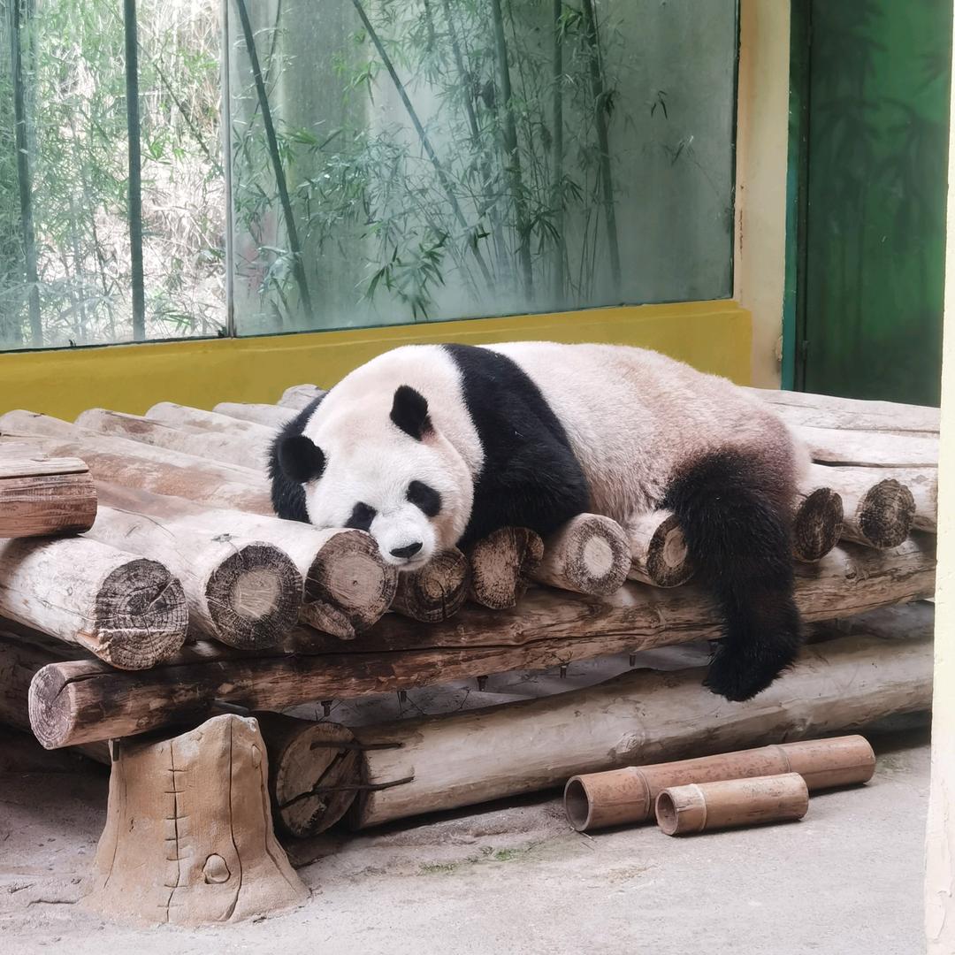 潮引力服饰店精品女装