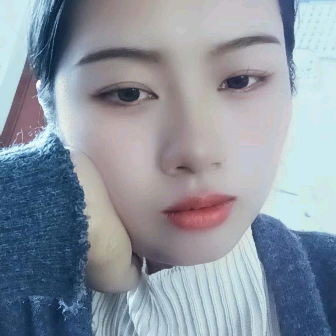 鸽子🕊️