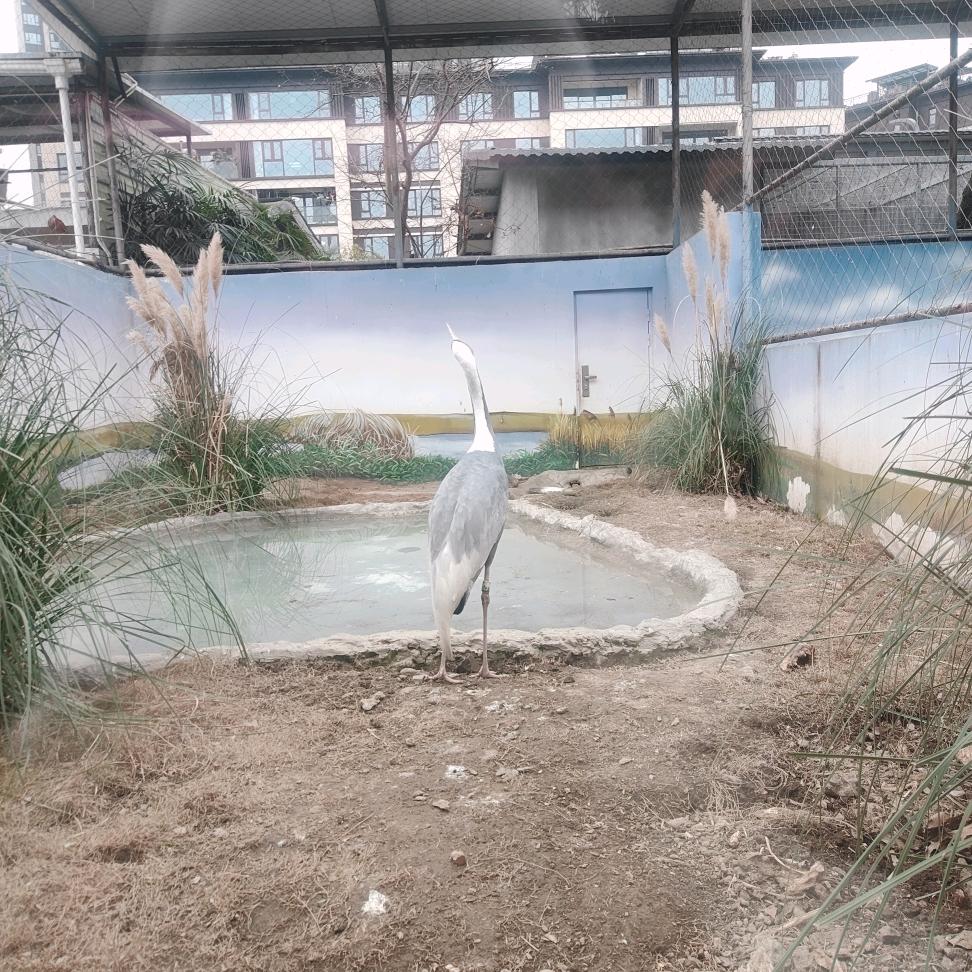 沙县小吃（金雁店）