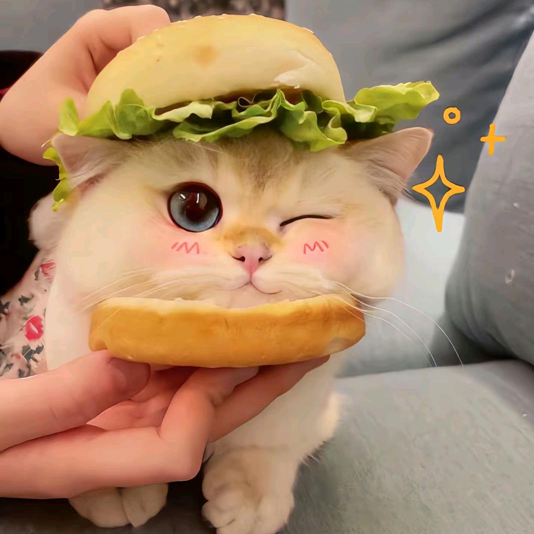 🍔 +🍟？