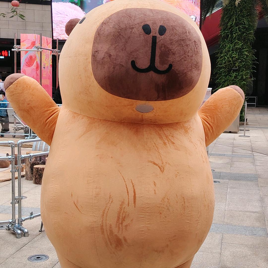 我真的求求了