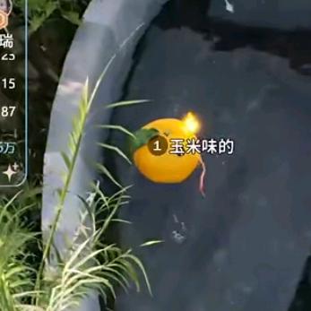 玉米味的大橘子🍊