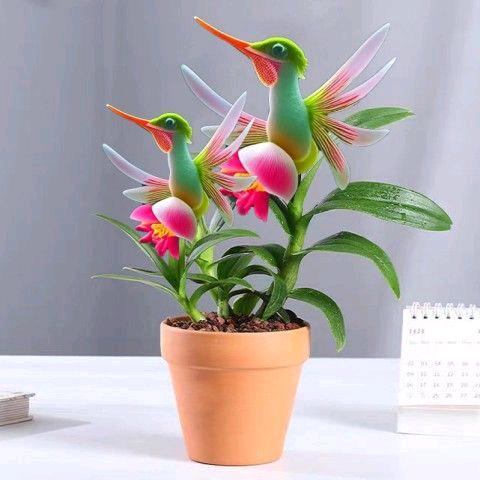 小眼睛丫