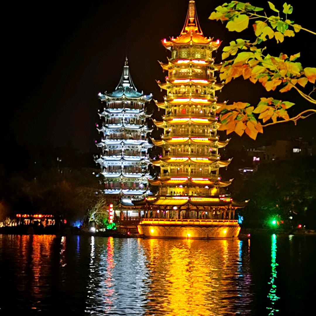 高冷的逗丁
