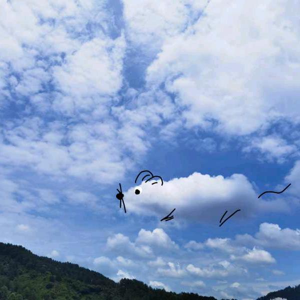 月见