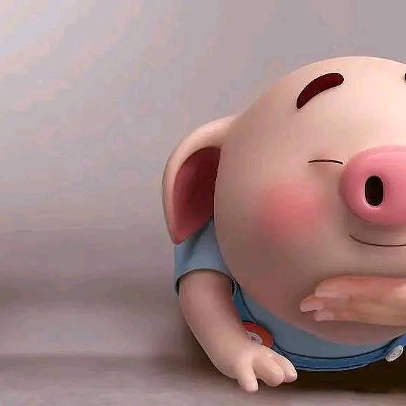 pipi
