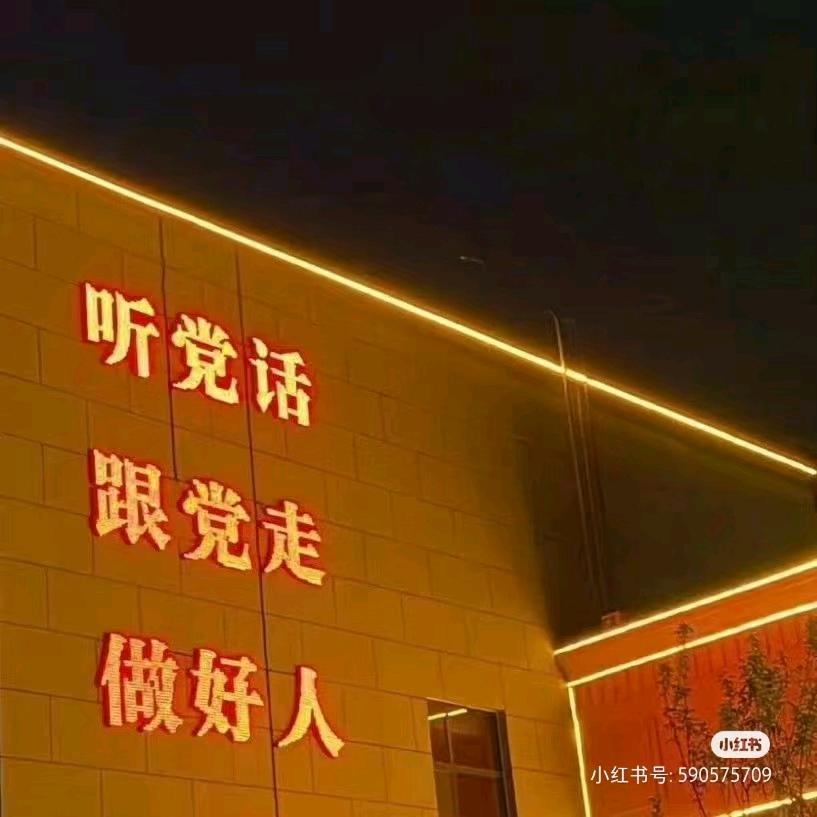 小猴子🐒🐒🐒