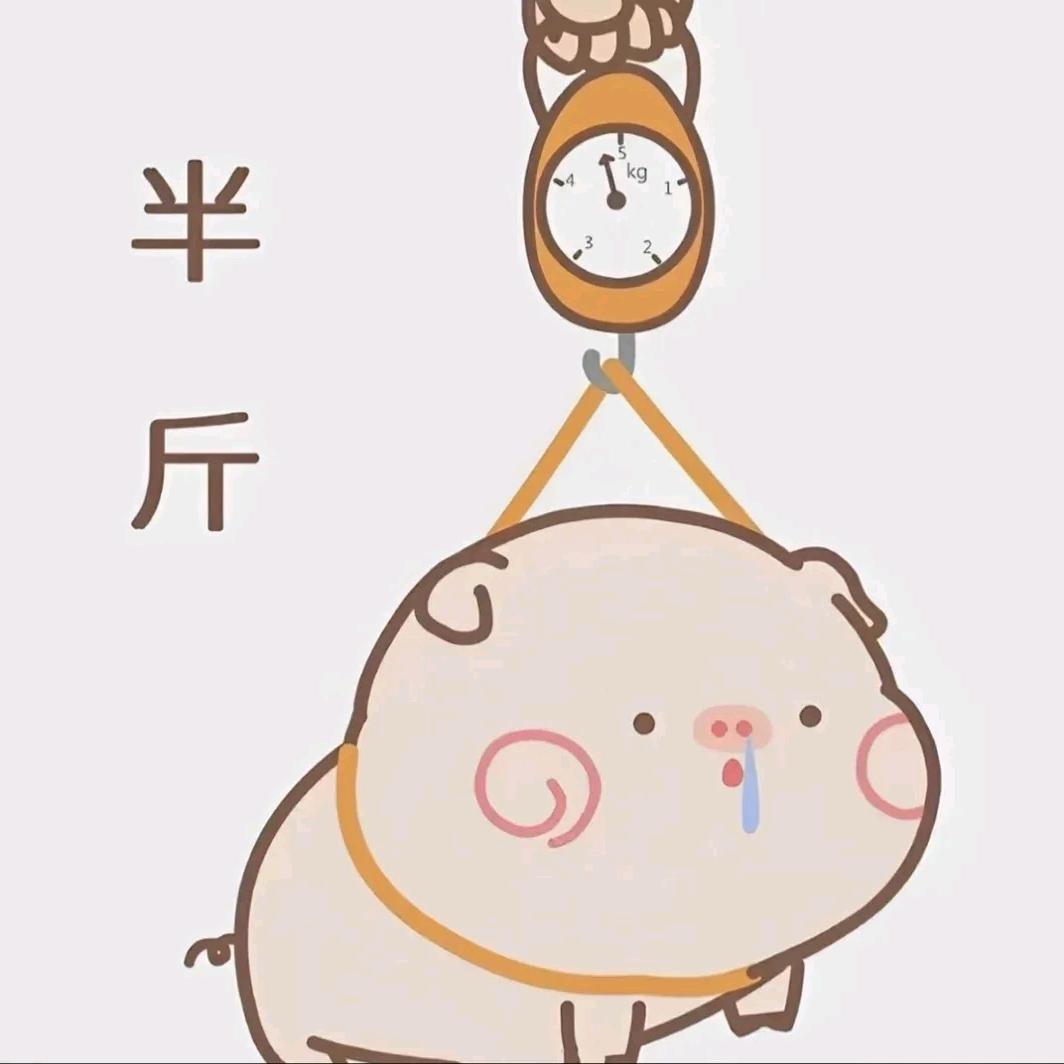 Qi ◔̯◔i