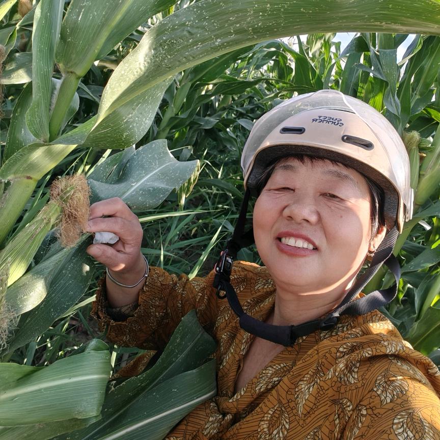 董姐卖五谷杂粮