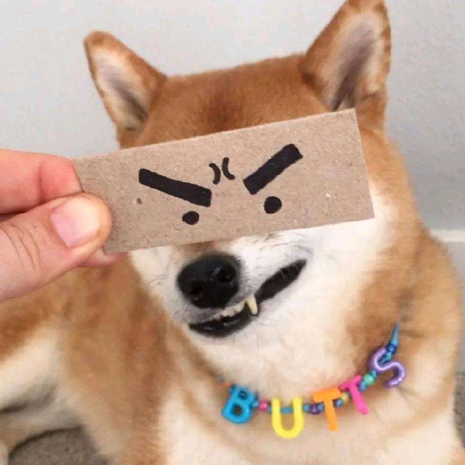 浮生若梦.