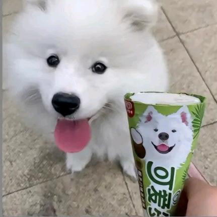 爱吃抖辣椒的君某头像