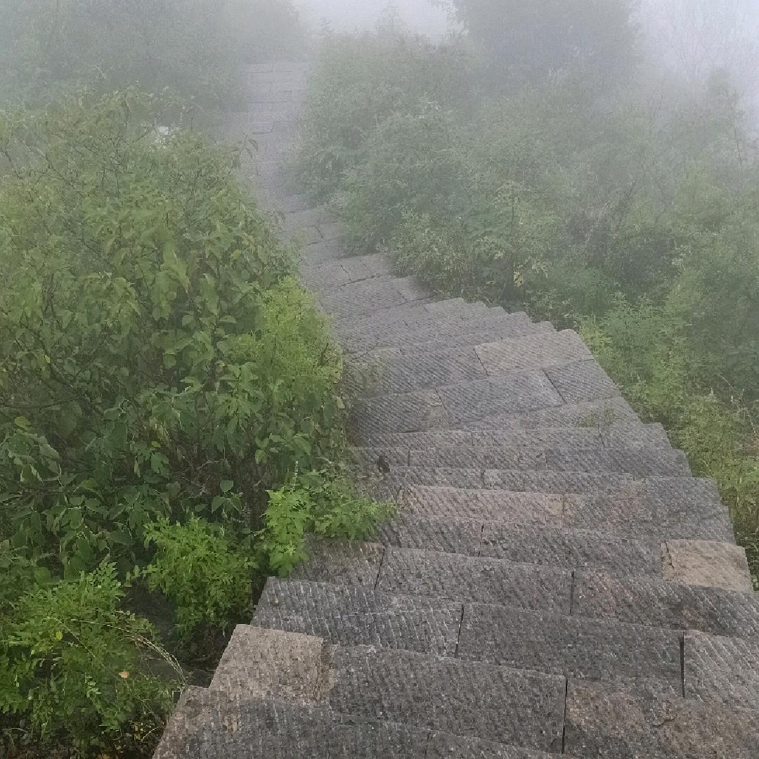 农村阿哥生活号