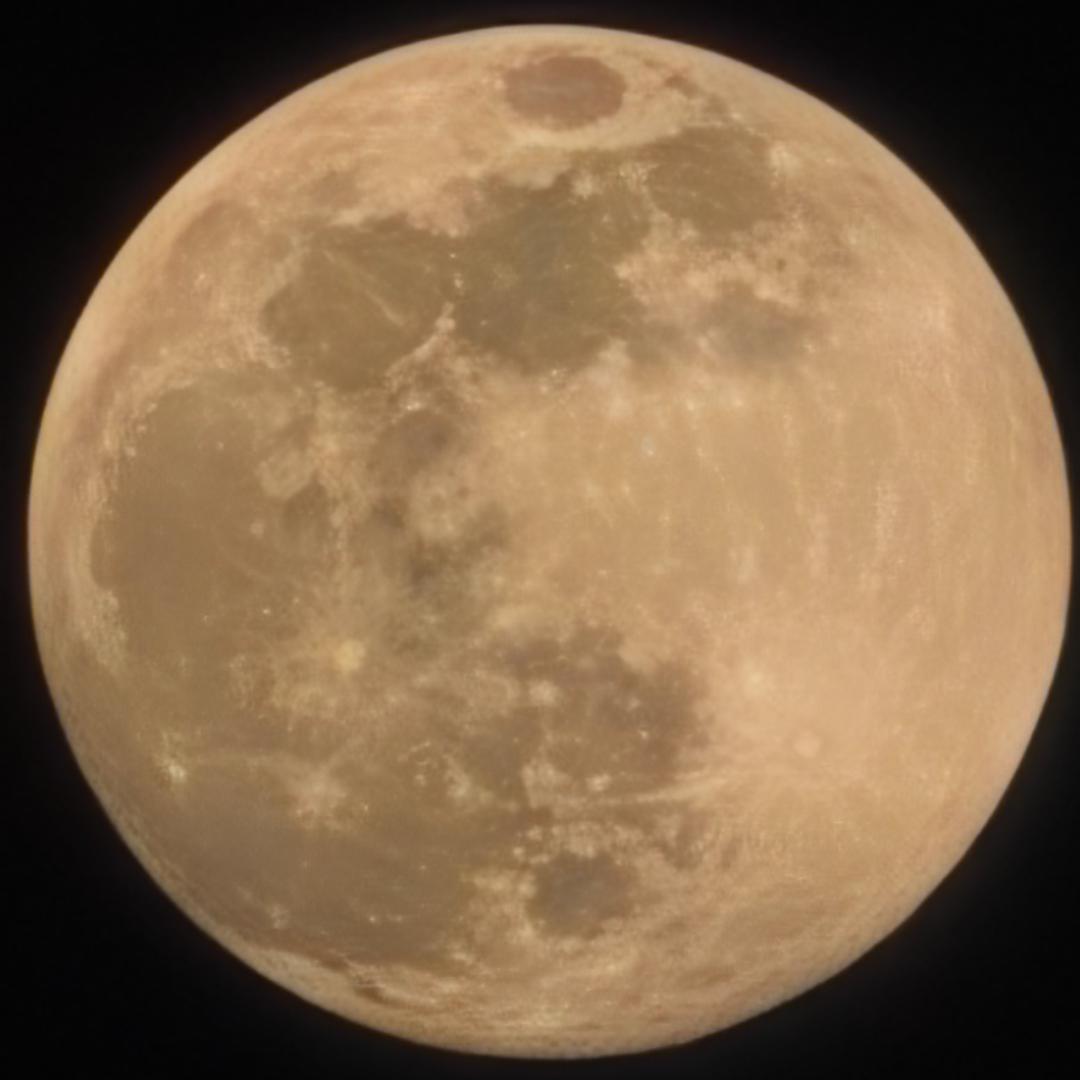 🇨🇳夏半花开