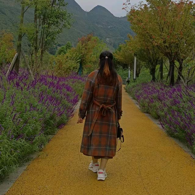青苹果