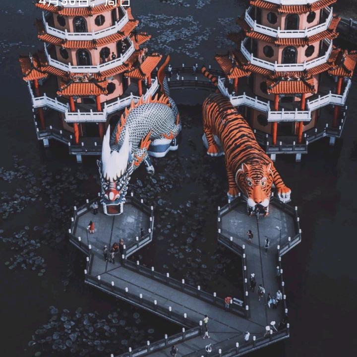 💞࿐🦋ꦿ໊余生᭄🕊随心᭄ꦿᩚ٭